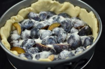 Plums sliced in halves and placed skin side up into the inside of the dough covered pie tin, sugar is sprinkled on the top of the plums