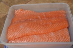 Salmon fillets in a plastic container covered in salt and sugar