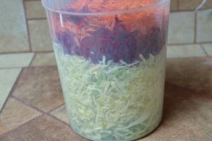 In a plastic tub there is a layer of thinly sliced cabbage, then grated beets and carrots