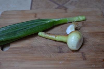 Scallions and onions on a cutting board