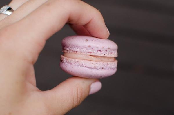 Pink macaron being held by someone's hand