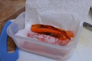 Roasted Bell Peppers being frozen in plastic container with each layer being lined with parchment paper