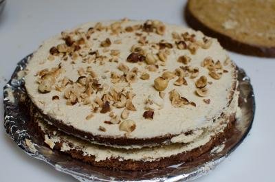 Sponge cake layer with cream and hazelnuts on top