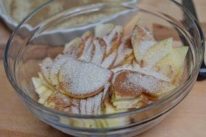 Apples in a bowl covered in sugar and cinnamon
