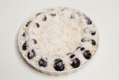Oatmeal, sugar and coconut flakes spread on top of the Oatmeal Plum Cake