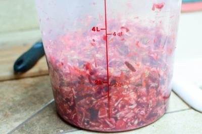 Pickled Cabbage and Beets in a plastic tub