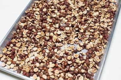 Hazelnuts on a baking pan