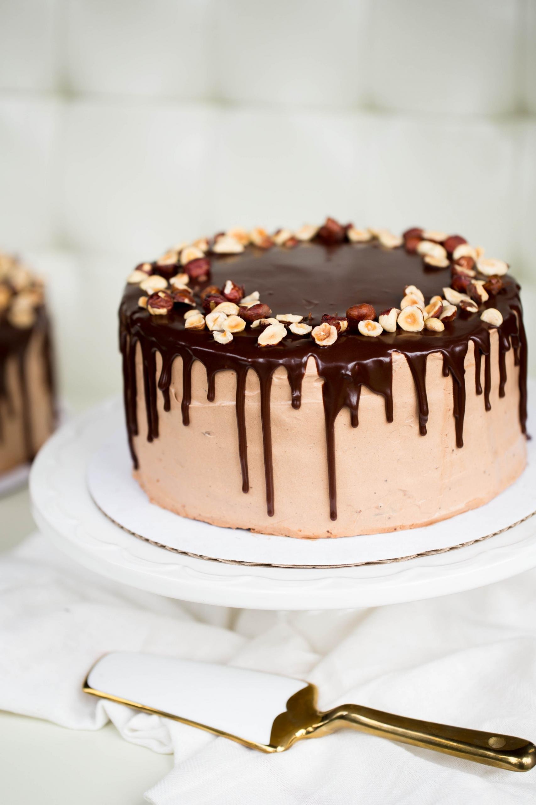 Chocolate Hazelnut Cake - Momsdish