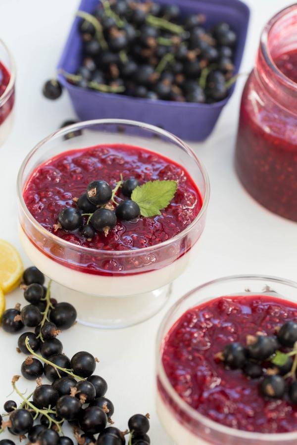 Panna Cotta in plastic cups