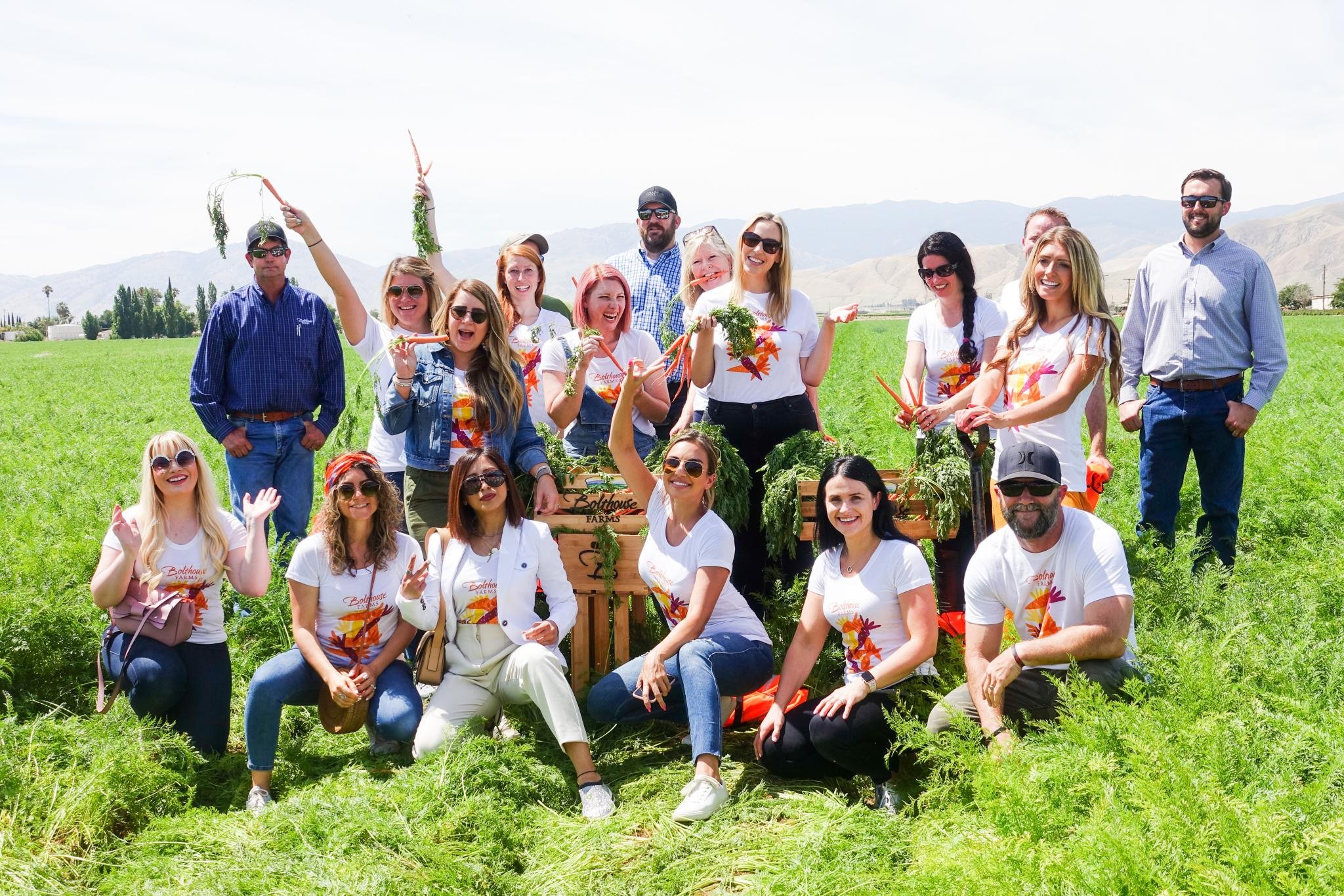 Bolthouse Farms Visit Momsdish