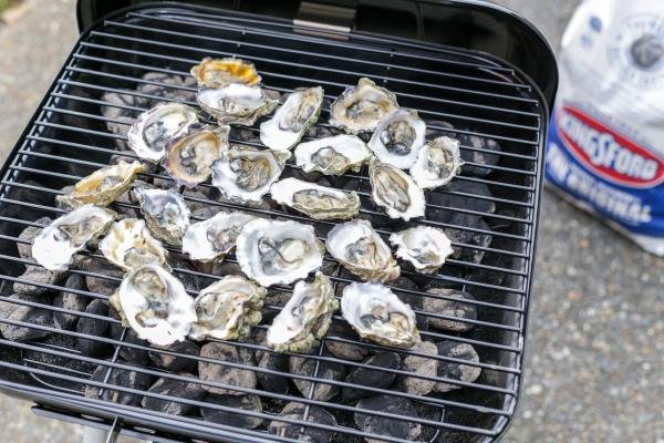 oysters on a grill