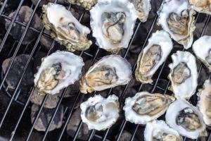 Oysters on the grill
