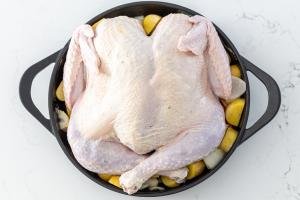 Turkey in a pan with vegetables all around.