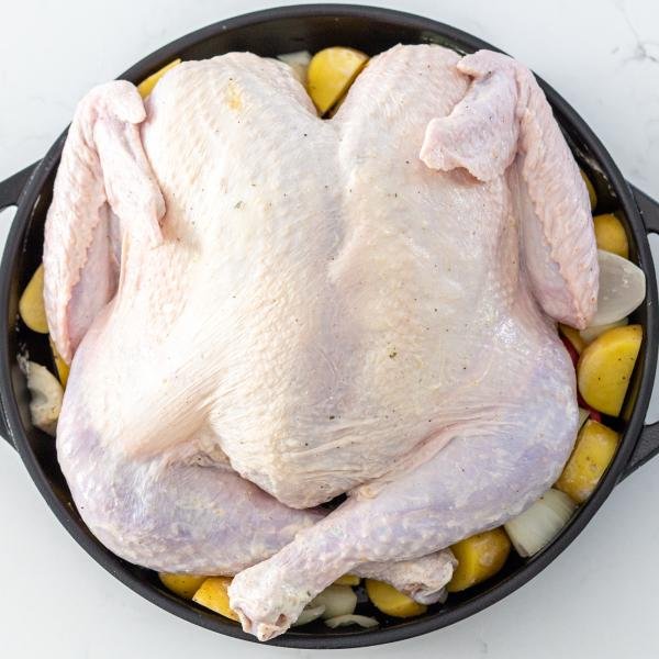 Turkey in a pan with vegetables all around.