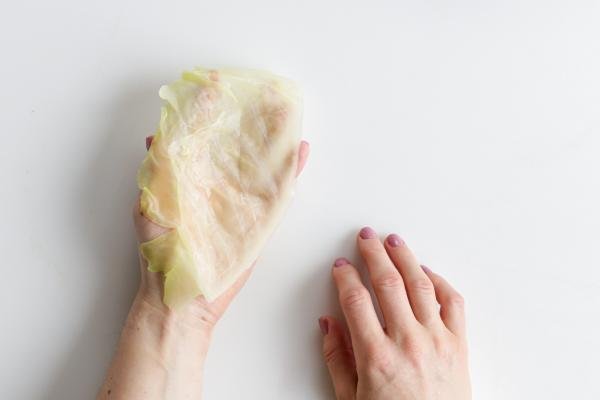 Cabbage leaf on a hand