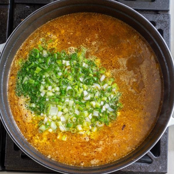 soup with broth with green onions