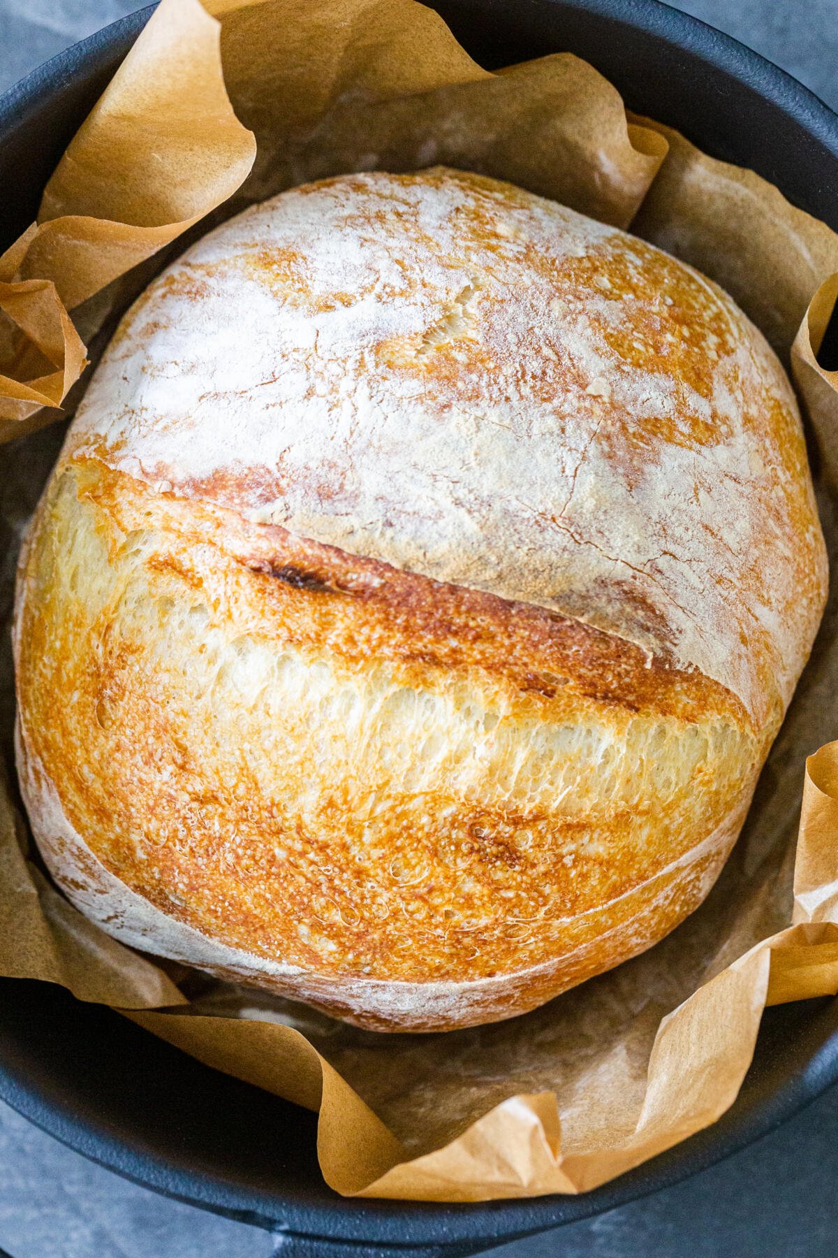 No Knead Bread (Dutch Oven Bread) - Jessica in the Kitchen