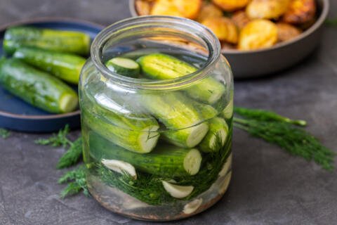 Quick pickled cucumbers in a jar