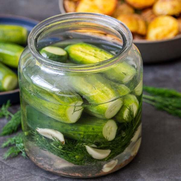 Quick pickled cucumbers in a jar