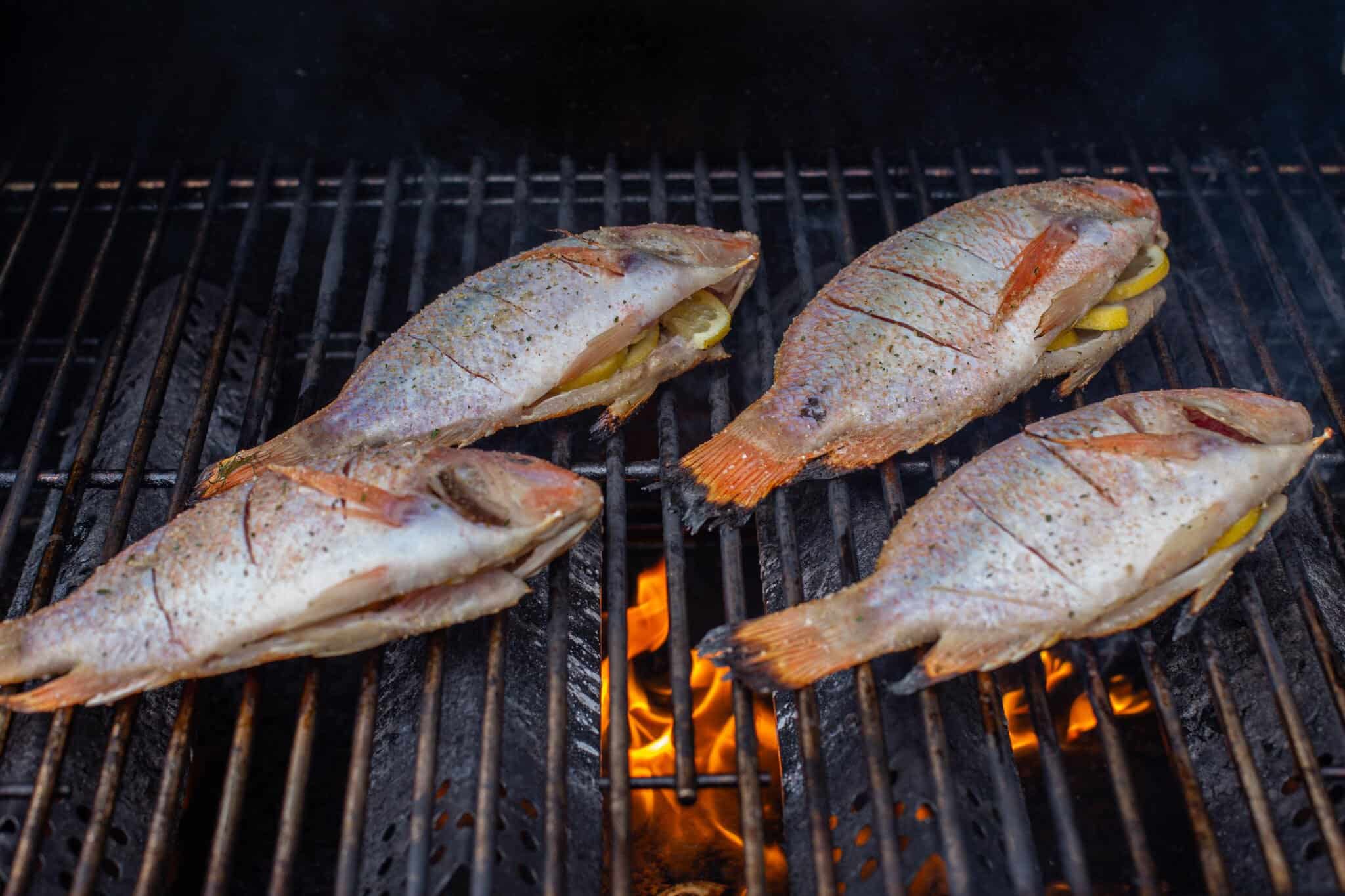 Grilled Tilapia Recipe 15 Minutes Momsdish