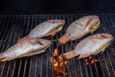 Tilapia on a grill