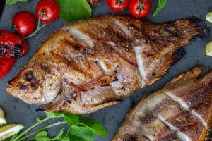 Grilled tilapia on a dish with tomatoes