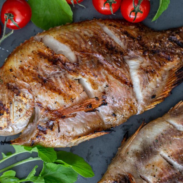 Grilled tilapia on a dish with tomatoes