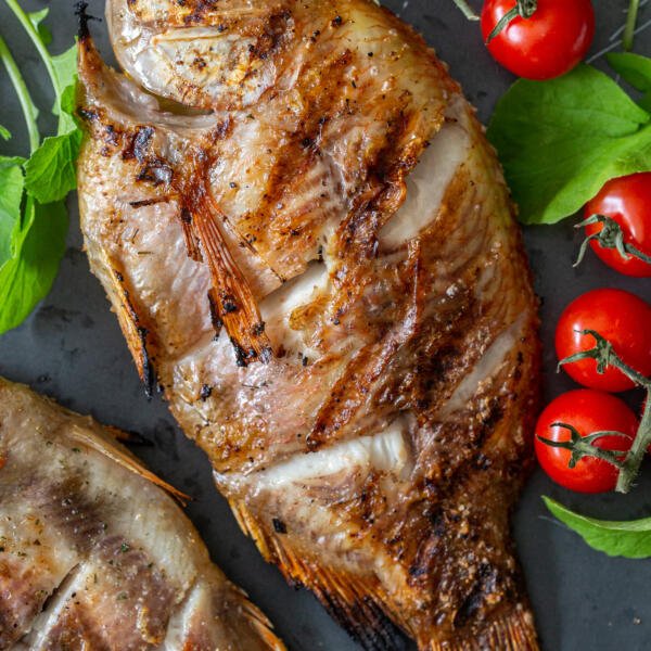 Grilled tilapia on a dish with tomatoes