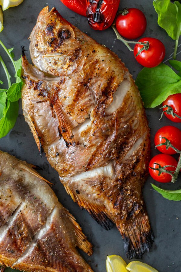 Grilled tilapia on a dish with tomatoes