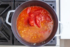 broth simmering with tomatoes and broth