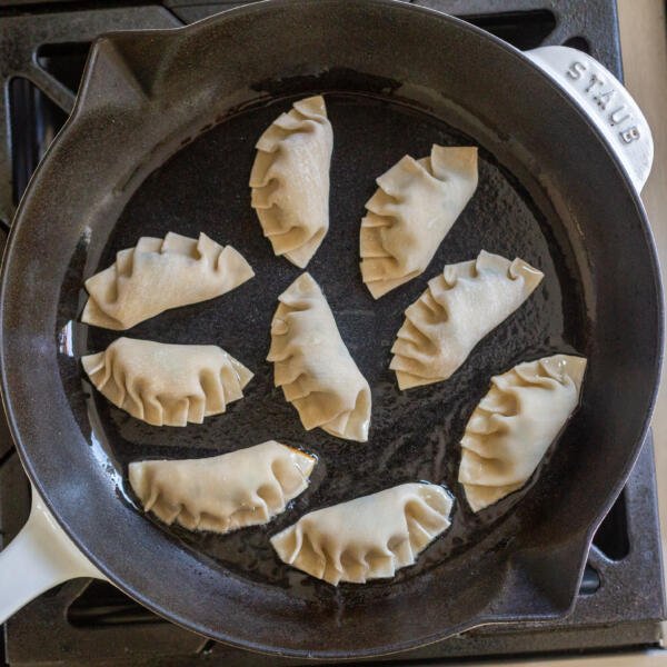 Gyoza in a frying pan