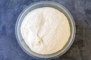 Honey wheat bread dough in a bowl