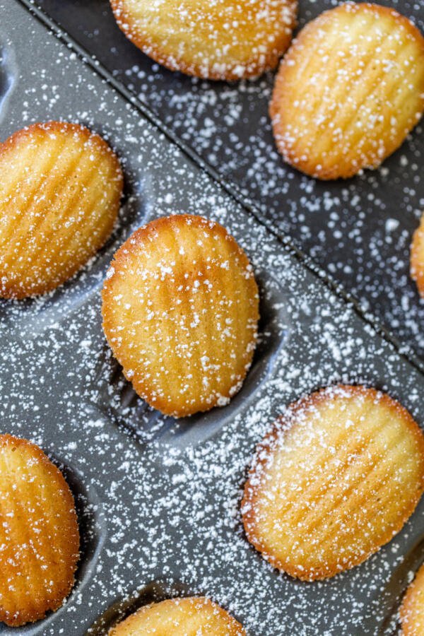 Madeleine cookies in the mold