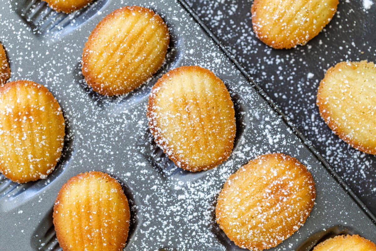 Classic French Madeleine Cookies Momsdish