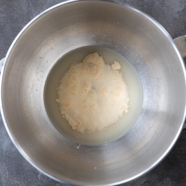 yeast and water in a mixing bowl