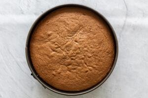 Chocolate sponge cake in a pan