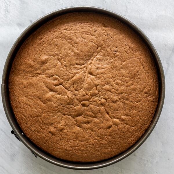 Chocolate sponge cake in a pan
