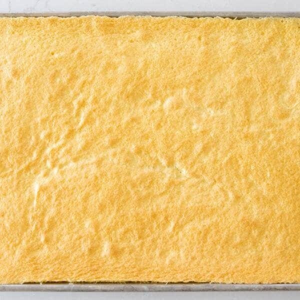 sponge cake in a baking sheet