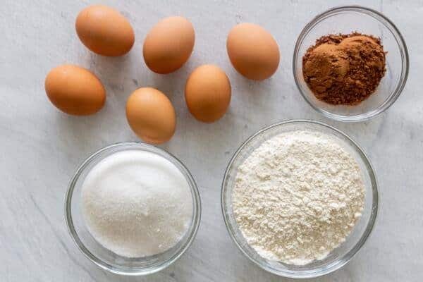 Ingredients for chocolate sponge cake 