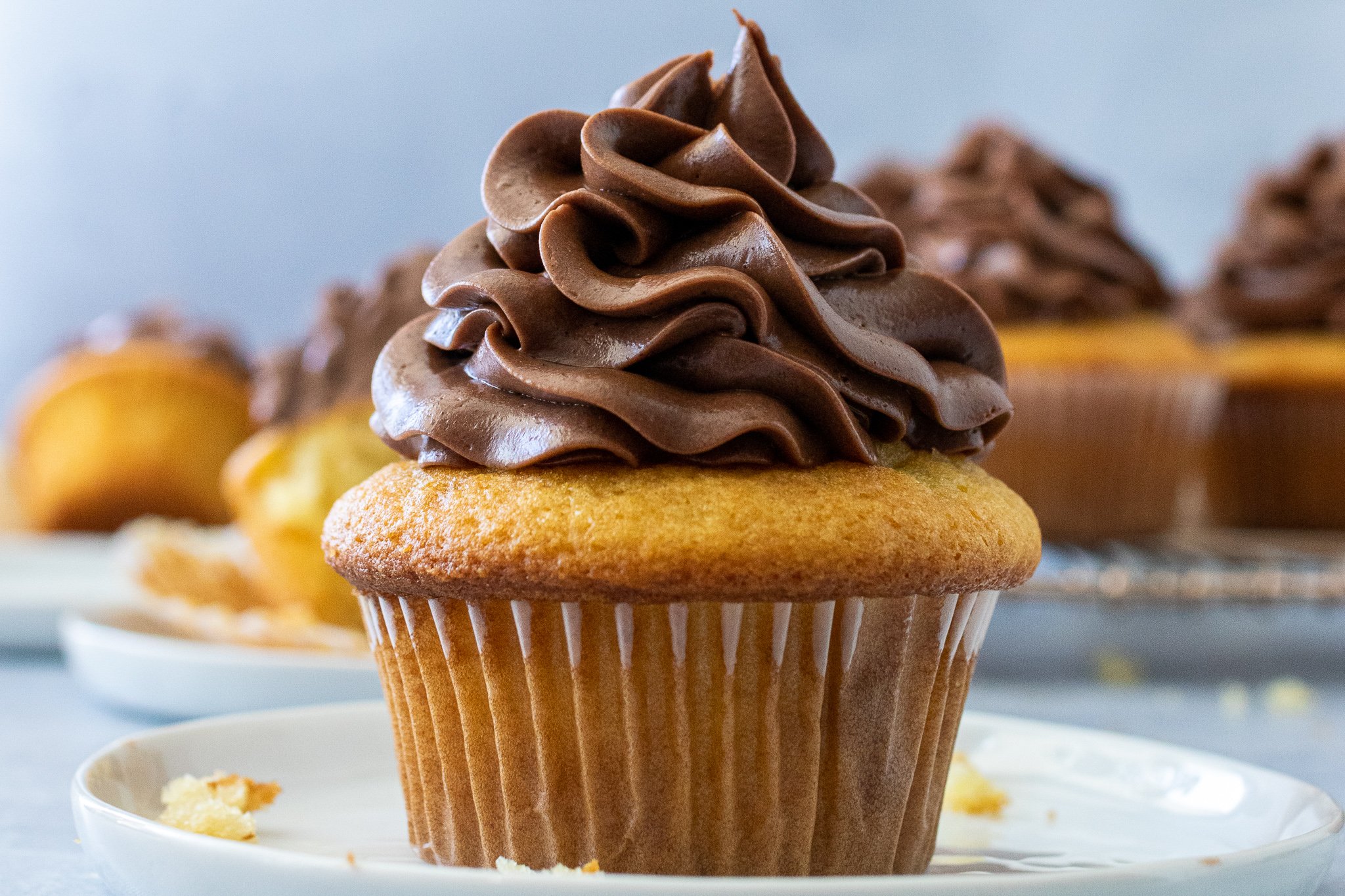 Perfect Cupcake Scooper 