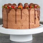 Strawberry chocolate cake on a cake stand