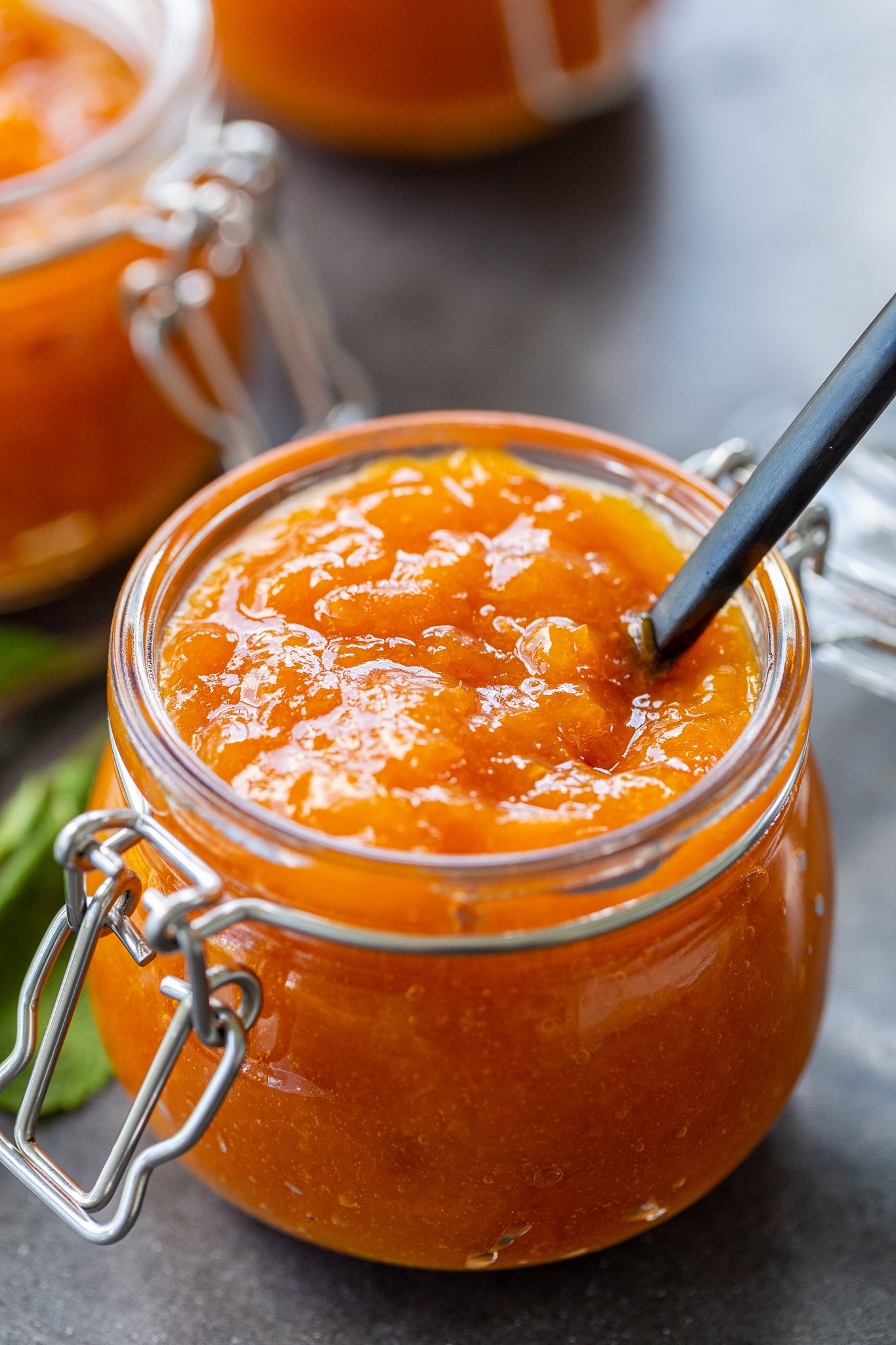 26+ Canned Apricot Recipes - NikkiMorena