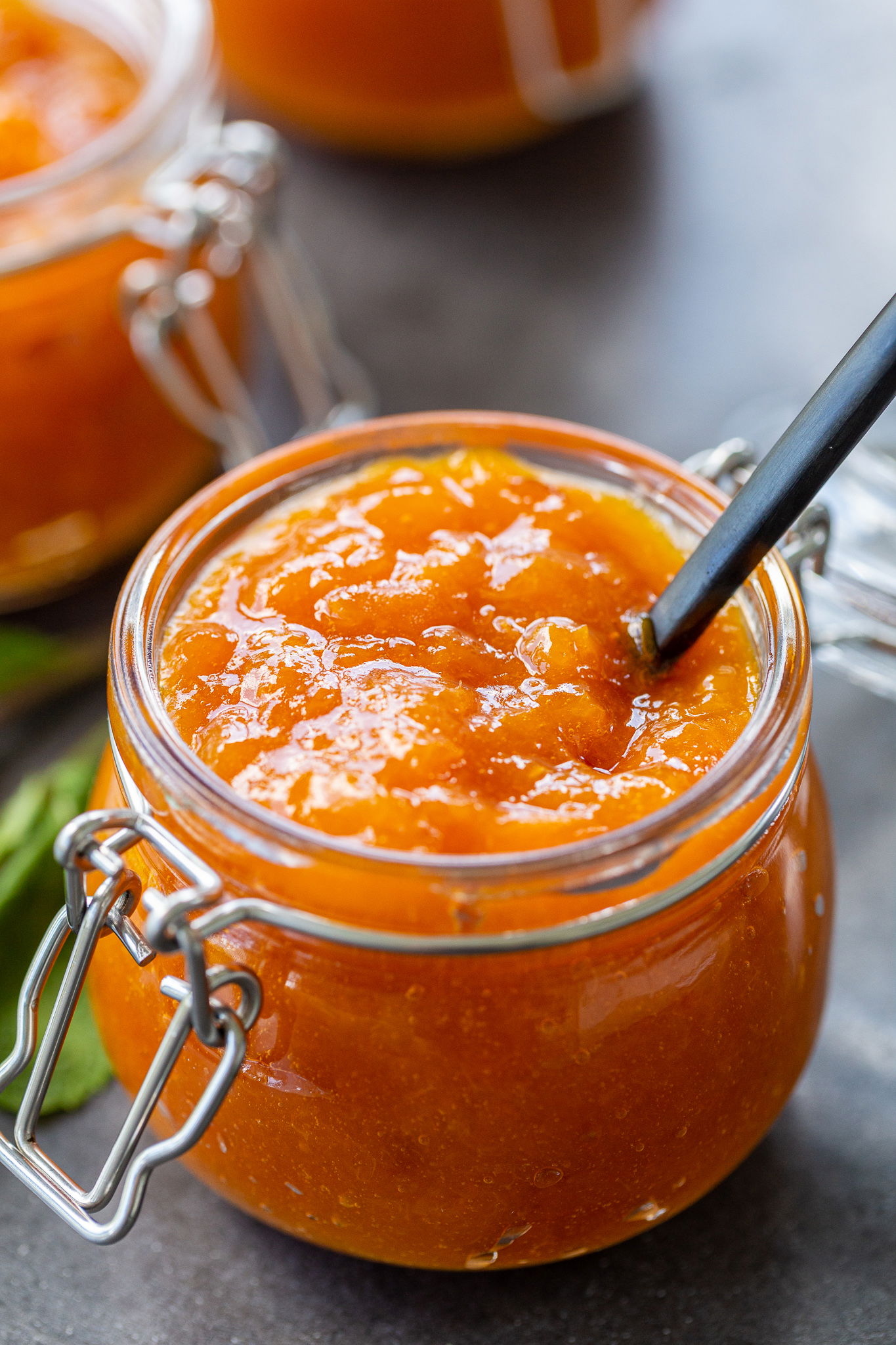 26 Canned Apricot Recipes NikkiMorena