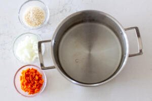 rice, onions, carrots and a pot of water
