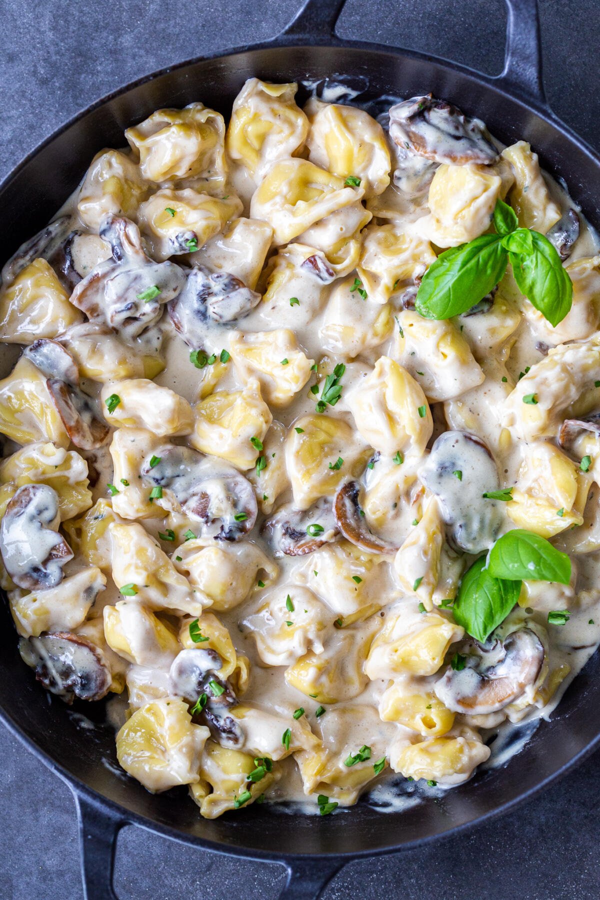 Creamy Mushroom Tortellini (One Pan) - Momsdish