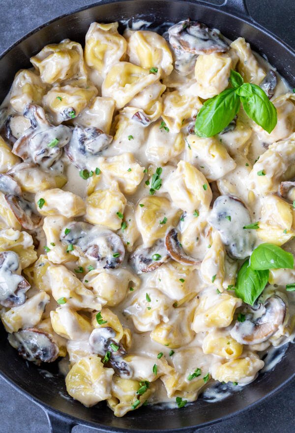 Mushroom cream tortellini in a pan 