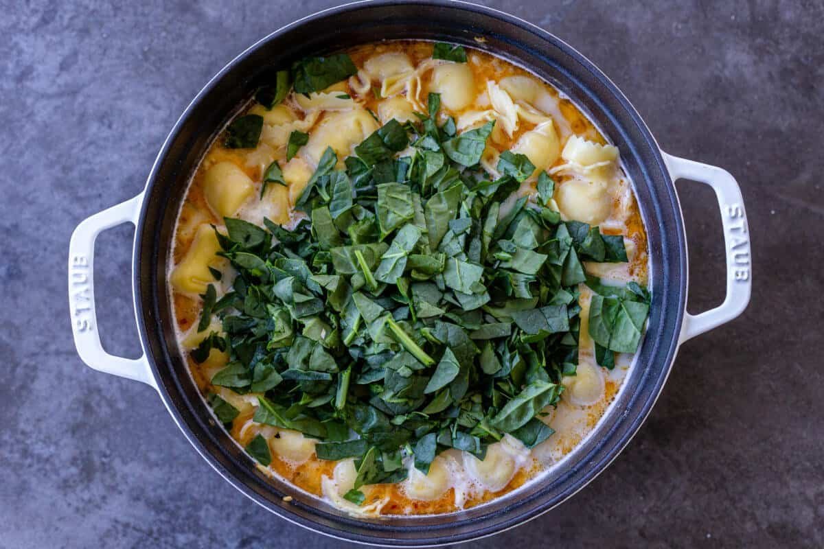 Creamy Spinach Tortellini Soup - Momsdish