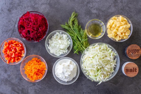 Ingredients for Vegetarian Borscht