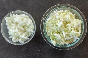 cabbage and onion on a bowl