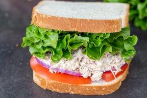 Tuna Sandwich with veggies on a tray